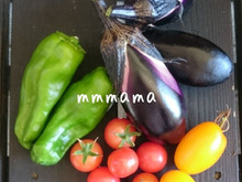 【家庭菜園】無農薬で育てる為にしていること☆NO虫