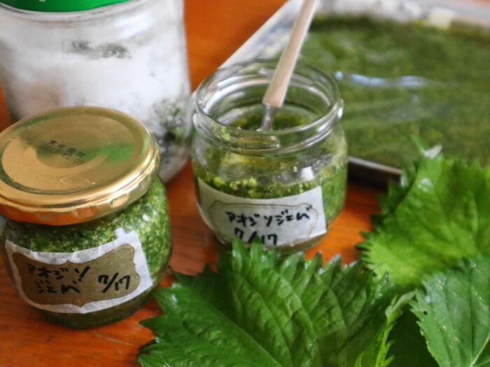 【青じそ大量消費】爽やかなのにコクもある♪大葉ジェノベーゼソース