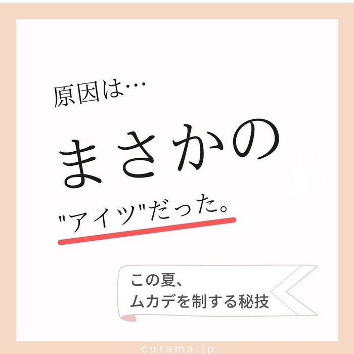 【画像ナシ】この夏、ムカデを制する!原因は…まさかのアイツだった