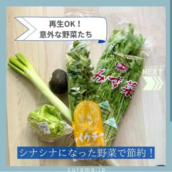 再生OK!シナシナになった野菜を再利用して節約する!