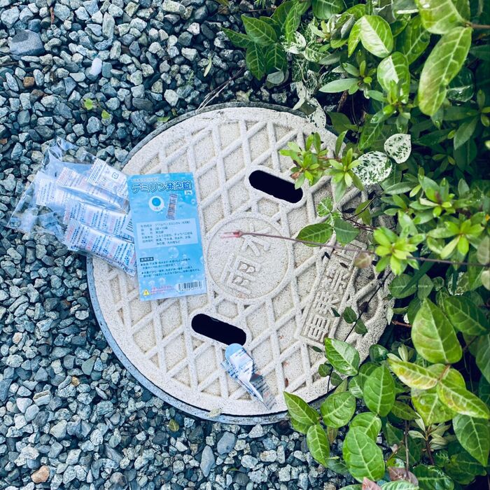 雨上がりには害虫が発生しやすので気をつけて!