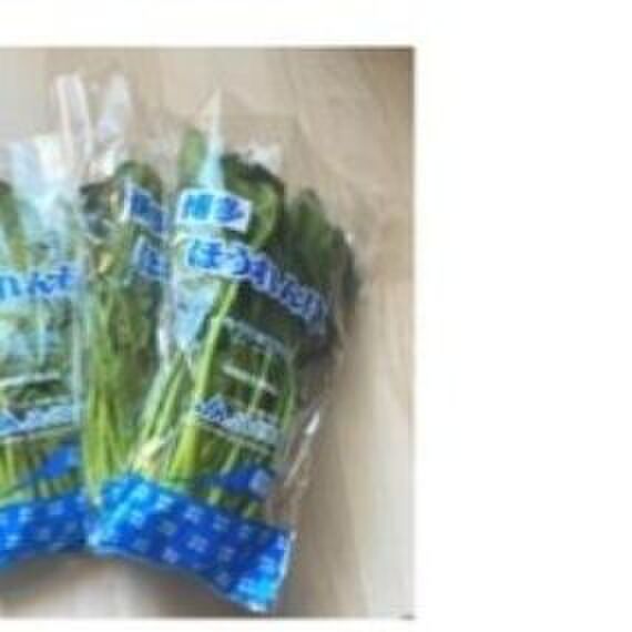 ブランチングに向いている野菜