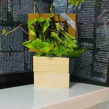 フレーム型にしてインテリア(*´∀`)♪