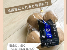 冷蔵庫に入れると有害に?! 安全に長くじゃがいもを食べる