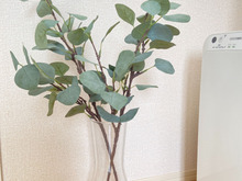 挿す・置くだけでサマになる♪IKEAで簡単♡おしゃれインテリアの作り方