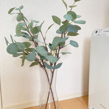 挿す・置くだけでサマになる♪IKEAで簡単♡おしゃれインテリアの作り方