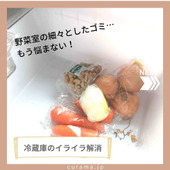 冷蔵庫の野菜室の細々としたゴミ・・・もう悩まない!