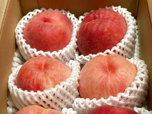 目からウロコの桃のタネの取り方