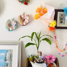 DAISOさんで!まさかの100円!幸福の木(ドラセナ)購入先より育て方が大切(^O^)