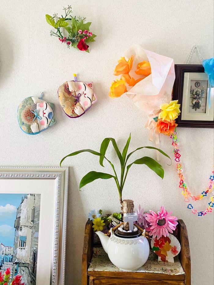 DAISOさんで!まさかの100円!幸福の木(ドラセナ)購入先より育て方が大切(^O^)