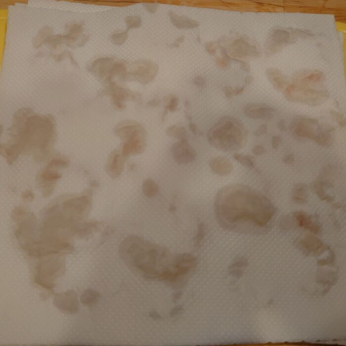 エビの上にキッチンペーパーを乗せて、上からポンポンして水気をしっかりとる