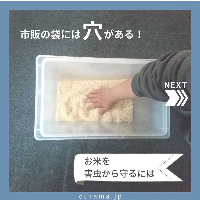 市販の袋には穴がある?! お米を害虫から守るには?