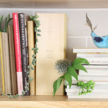本棚から顔を出す植物ブックマーカー♪フェイクグリーンリメイク