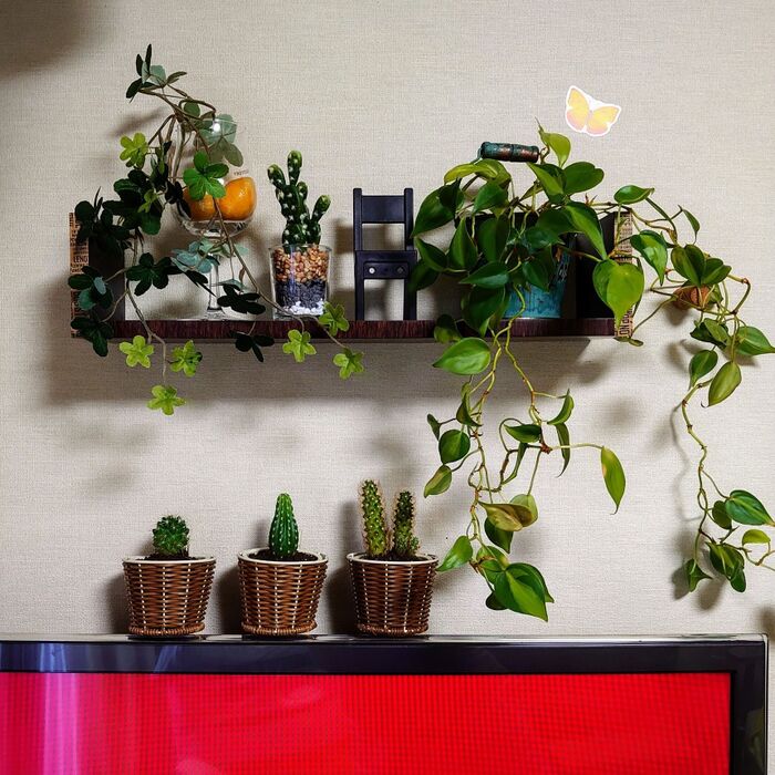 テレビの上