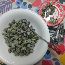 今日のご馳走!! 須磨海岸・・・・戦利品「いぼにし」