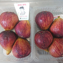 耳を疑う・・・・驚きの価格