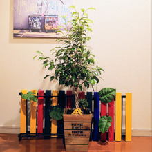 【お猿の楽園】遊び心満載 ❢❢ 根元にズーム・イン