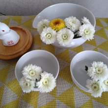 不揃いの茶器に光をあてて