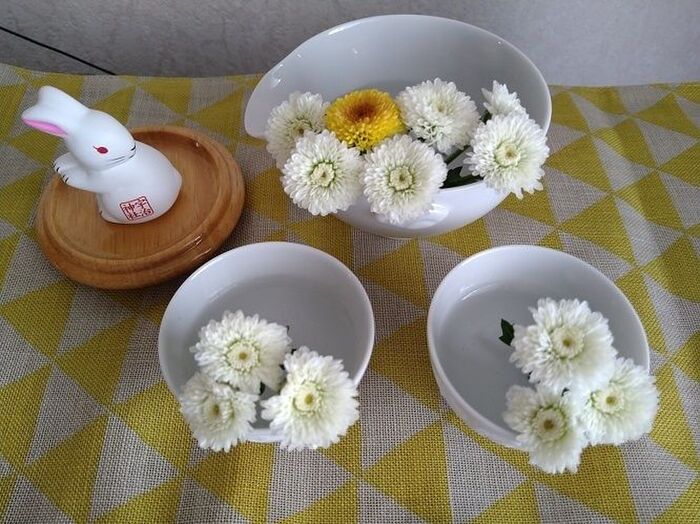 不揃いの茶器に光をあてて