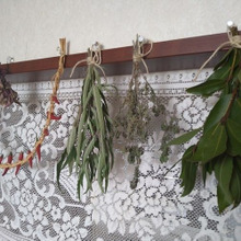 ダイニングに飾るハーブ