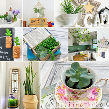 我が家のおすすめ緑化方法8選!