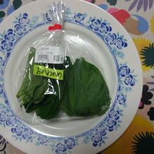 長寿の薬草!? 雲南百薬(ウンナンヒャクヤク) スーパーフード