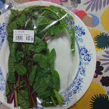 インディアン・スピナッチ