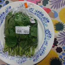 β-カロテンほうれん草の2倍以上、野菜の中でもトップクラスの含有量 「野菜の王様」