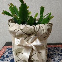 布でイメージチェンジ