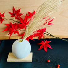 ススキは今が一番いい(^O^)