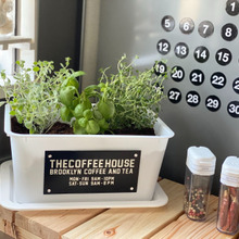 DAISO収納ボックスでキッチンガーデン