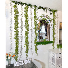 グリーンのタテ使いで天井高♪目の錯覚ってすごい!壁もぶち抜きました