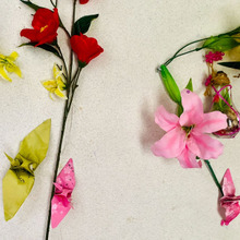 京都土産の包装紙は上等なものが多いです🎶