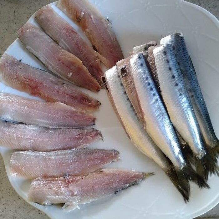 イワシ