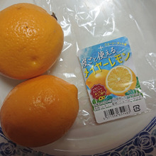 マイヤーさんがみつけた🍋 lemon