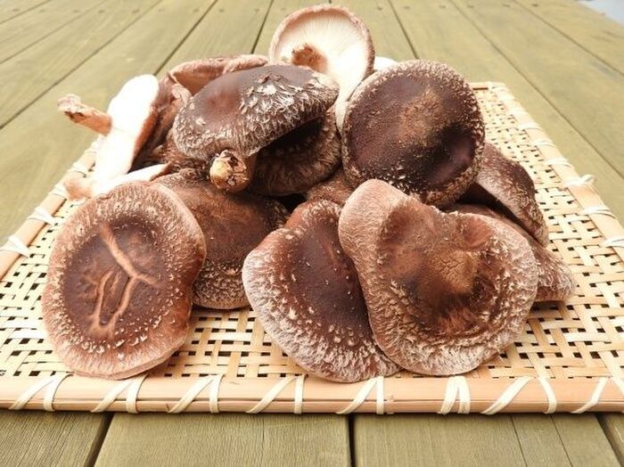 旨味アップの秘訣は冷凍保存!しいたけのオススメ保存方法