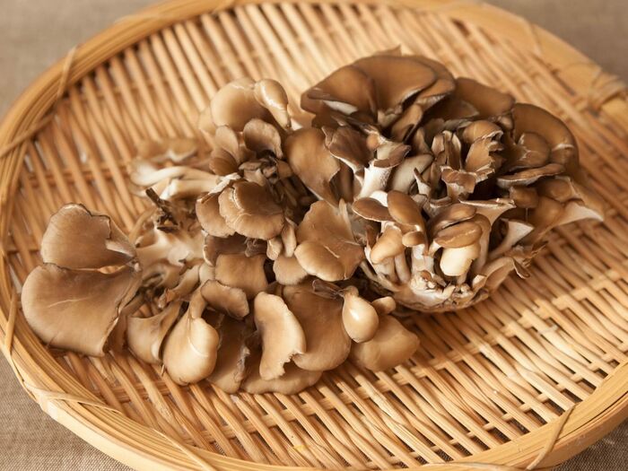 舞茸で免疫力アップ!腸内環境を整え健康な体へ