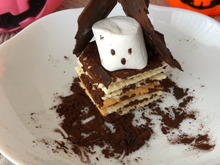 ビスケットのお家にかくれんぼ♪