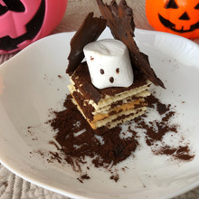 ビスケットのお家にかくれんぼ♪