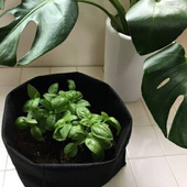 100均のフェルト生地でプランターをDIY!冬の鉢植えをおしゃれに