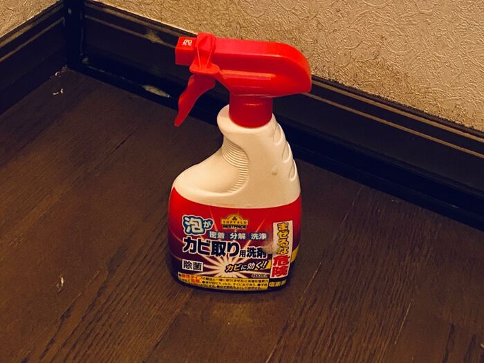 狙ったカビは外さない!こういった系統で臭いが一番キツくないよ!