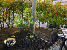 収納に場所を取るハンガーがフェンスで大活躍!