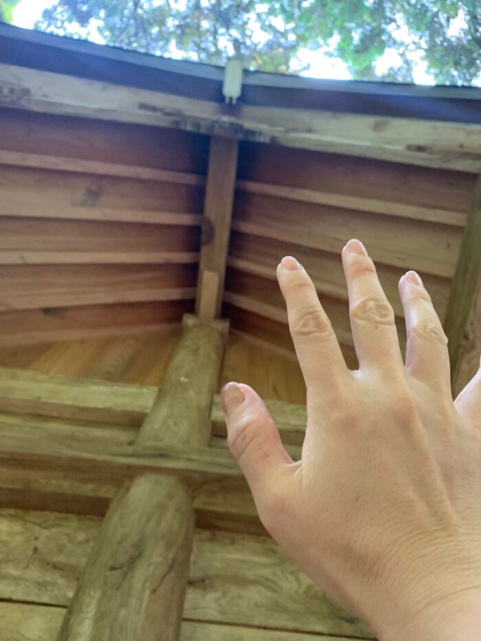 神社参拝は、本殿の裏まで