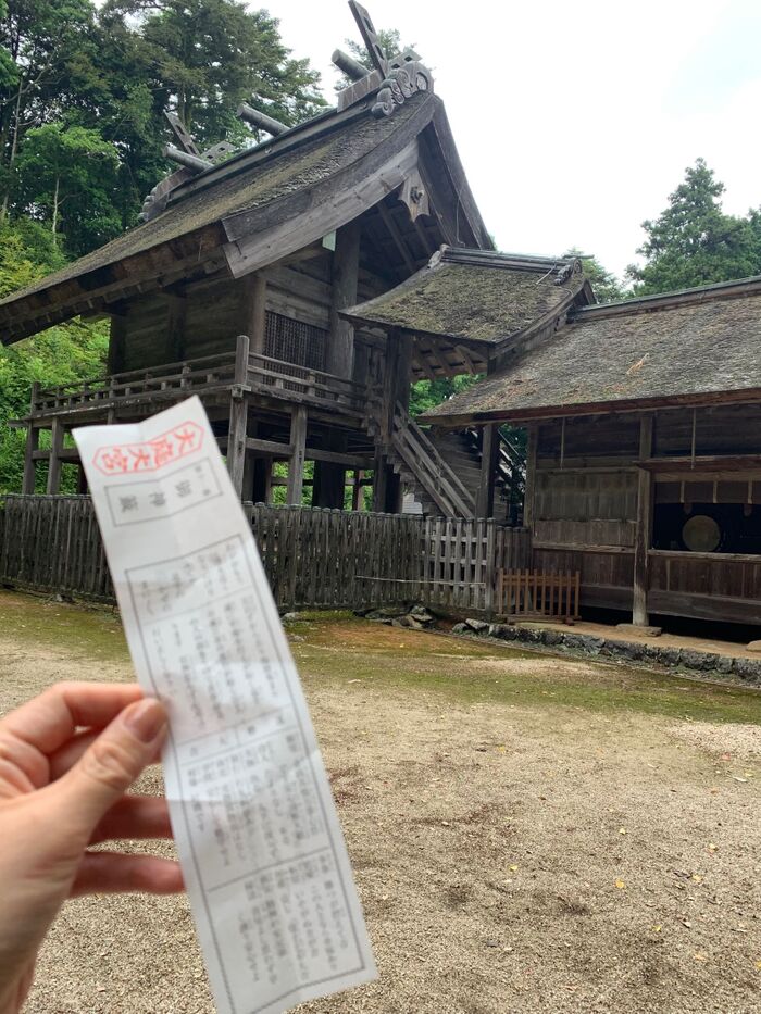 おみくじを引く