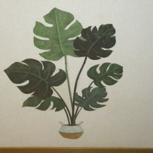 【玄関に平面モンステラ】ウォールステッカーで簡単に!DIYの楽しさを♪