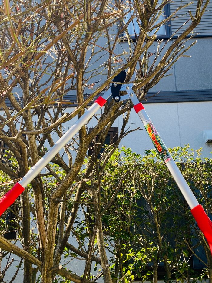 太い枝も楽々!華奢な方でも楽チン 秋の刈り込みに良いですよ🎶