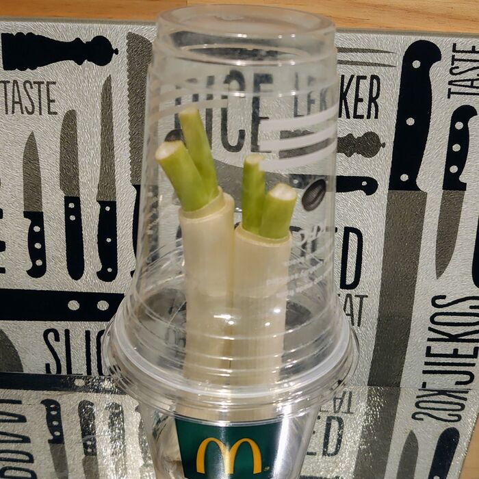 途中で気がついた❢ カップでフタをしてみた