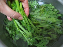 えっ、こんなに汚れが出る~(汗)!? 春菊の洗い方