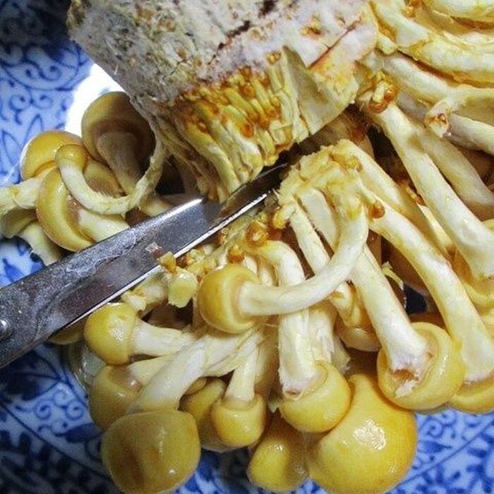 今回は、なめこ1/2株で作ってみました