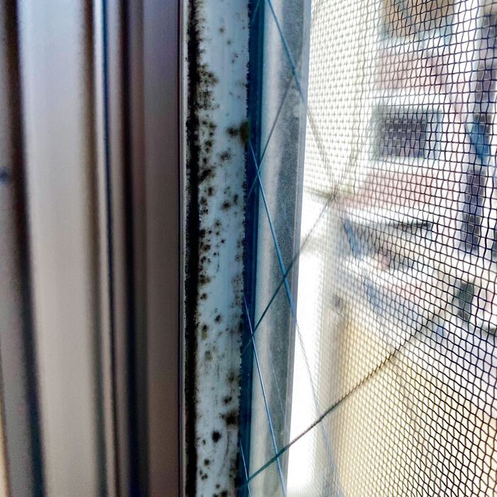 1.カビ取り剤を吹きかける